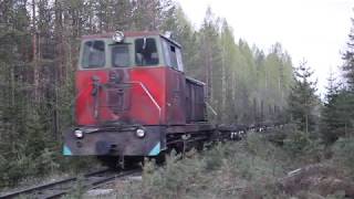 Белоручейская УЖД / Тепловоз ТУ7-2240 с порожняком