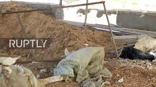 State of Palestine: Israeli airstrike destroys poultry farm in Rafah