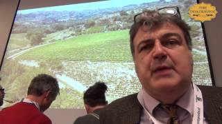 Marchesi di Montalto, solo Pinot Nero e Riesling