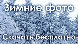 Зима Фото. Скачать Бесплатно Зимние Фото. Красивые Фотографии Природы