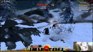 Let's Play Guild Wars 2 Deutsch HD - #088 Forscher Suki