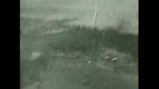 WW2 Rudel STUKA JU87 (D-3) G-1 BEST RARE GUNCAM FOOTAGE