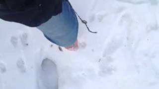 Barefoot on the snow