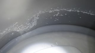 熱水瓶水垢怎麼清？家電達人教你輕鬆恢復亮晶晶！