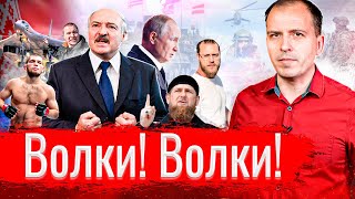 Волки! Волки! // АгитПроп 14.11.2021