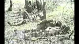 ARTIK ARCAX SASUNCI DAVTI KAMAVORAKANNER@