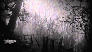 The Rain - Lament (1991)