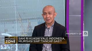 Pemerintah RI Kuasai 34% Saham Vale, Apa Dampaknya?