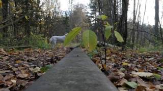 Пост-фокус Panasonic Lumix DMC-LX15