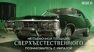 Познакомьтесь с Импалой