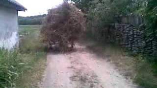 zirka-41