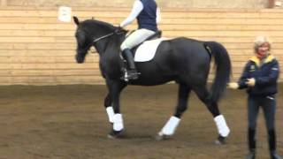 Clinic 2012-05-14