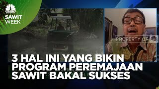 Riset IPB, Ini 3 Hal Yang Bikin Program Peremajaan Sawit Sukses