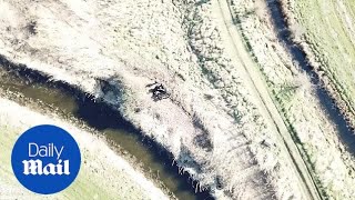 Moment anti-fox hunt drone is shot out of the sky by masked supporter