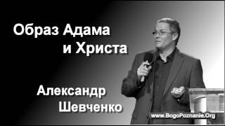 05-10. Принцип подражания - Александр Шевченко