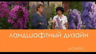 Частный сад Марины Шиманской под Петербургом