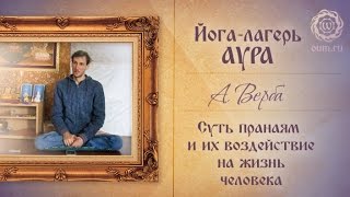 Суть пранаям и их воздействие на жизнь человека