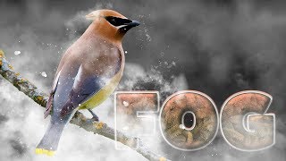 Fog Effect in Adobe Photoshop CC 2019 ( Tutorial )