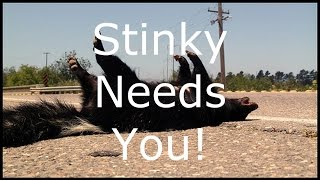 Stinky Needs You !!!!!