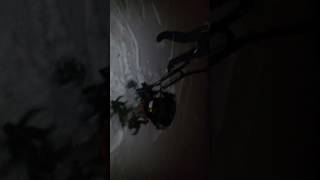 Мотокультиватор SunGarden T 250 F BS 5.0