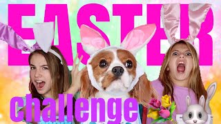 CUPCAKE CHALLENGE | WITH OUR DOG TOBY | Quinn Sisters