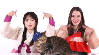 #Денькореи2018 - уже 15 сентября!