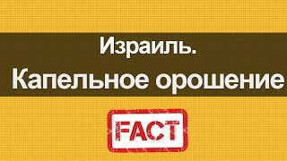 Израиль. Капельное  орошение