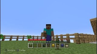 Minecraft yard