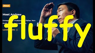 ???? Why Andrew Yang Gave Up 2020 Presidential Campaign? ????  : Non FLUFFY Edition