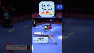 ЗАРУБА ЛЕВШЕЙ #tabletennis #тенниснастольный #настольныйтеннис #теннис #pingpong