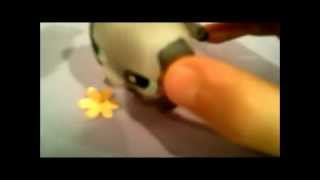 LPS:Switched At Birth Episode 4 [Hey, She Looks Just Like Me]