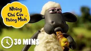 Những Chú Cừu Thông Minh - Phần 3 (1 HOUR)