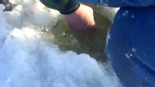 Зимняя рыбалка в Харабали(СОМ 7,5 кг.20.01.2011г.)