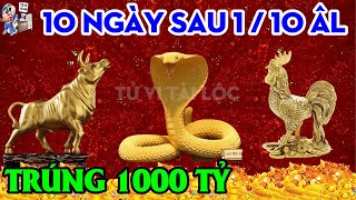 10 NGÀY SAU 1/10 ÂL 3 CON GIÁP TRÚNG SỐ ĐỘC ĐẮC 1000 TỶ, XOÁ SẠCH NỢ NẦN, ĐỔI ĐỜI ĐẠI GIA | TVTL
