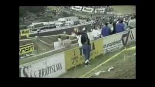 1995 Motocross Des Nations
