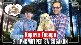 КОРОЧЕ ГОВОРЯ, Я ПРИСМОТРЕЛ ЗА СОБАКОЙ [пропала собака]