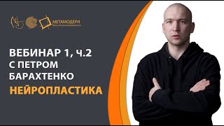 2018 04-03   Вебинар 1 блок 2 Нейропластика с Петром Барахтенко
