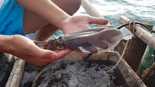 Trải nghiệm câu mực và ăn gỏi mực sống quá đã ở Phú Quốc