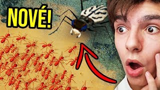 NOVÝ OBŘÍ BROUK! | Empires Of The Undergrowth #4