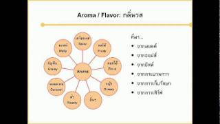 รู้รอบเรื่องเบียร์ - Introduction