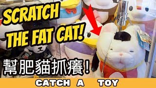 $100 Cat Claw Machine Challenge! | Catch A Toy #69 | 夾娃娃挑戰 #69