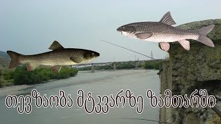 თევზაობა მტკვარზე ზამთარში