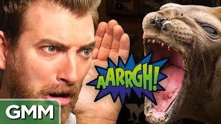 Weirdest Sounds on the Planet