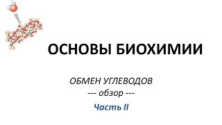ОБМЕН УГЛЕВОДОВ - часть 2 - Просто о сложном - Химия