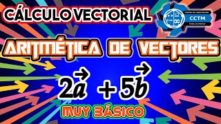 Aritmética de Vectores | Introducción |¡Muy básico!|Cálculo Vectorial