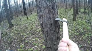 Безопасность при  рубке топором. Безопасная высота пенька