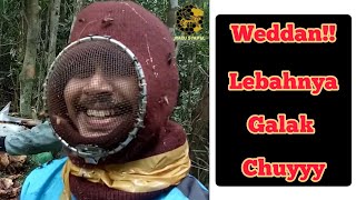 HEBOH!! AKSI NEKAT PANEN MADU HUTAN (PART 2)  INFO PENJUALAN WA : O812 5838 158 - 4 / O853 8O80 44OO