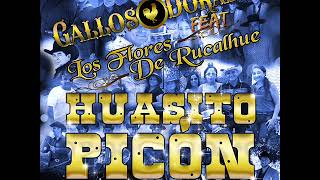 Huasito Picón -  Gallos Dorados Feat Los Flores de Rucalhue