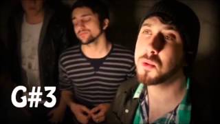 Avi Kaplan Vocal Range (E♭1 - C♯5)