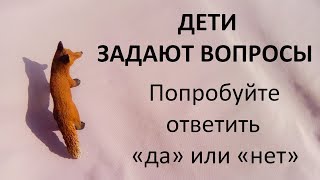 Вопросы, на которые невозможно ответить «да» или «нет»